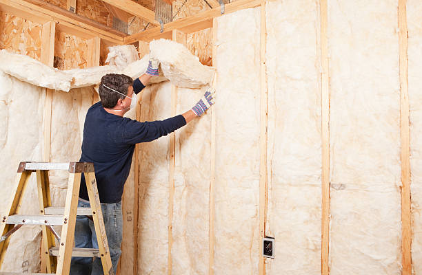 Professional Insulation Services in Mathews, VA